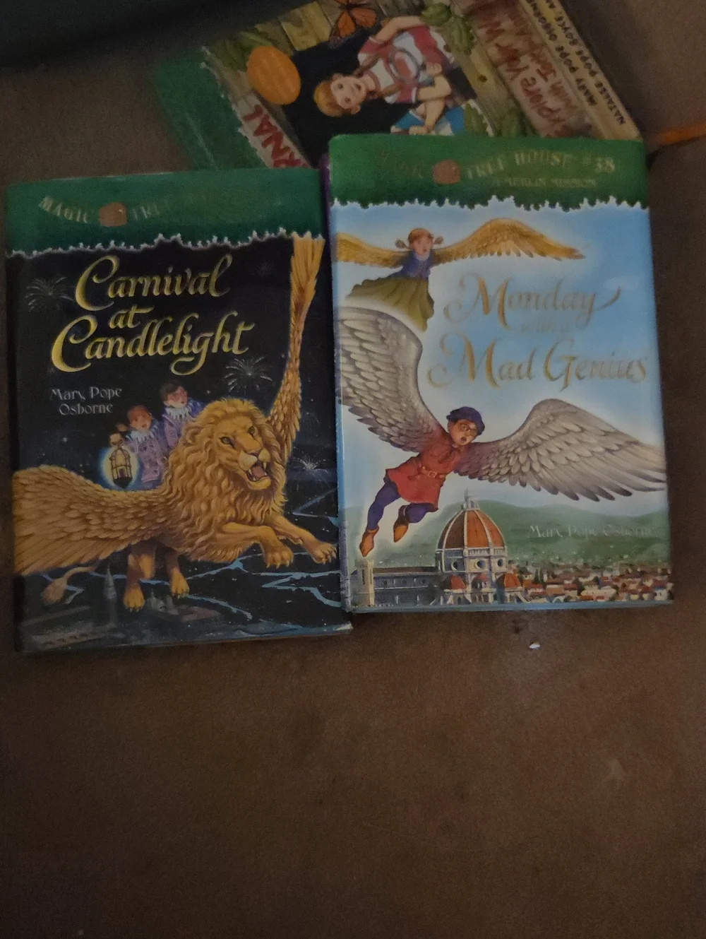 Magic Tree House collection magic